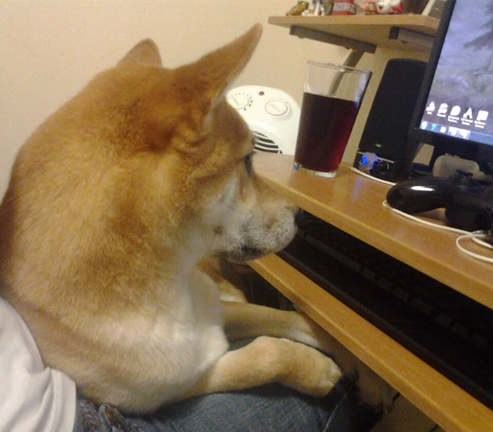 奥亚尔萨瓦尔惊艳四座!沙特友谊赛对阵贝蒂斯,一记世界波点亮跨洲足球之夜