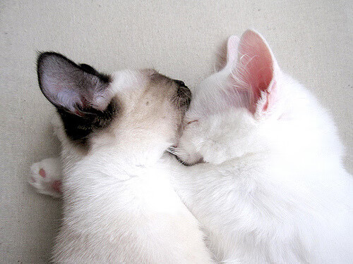 库里存在感拉满，76人粉碎山西队，一场跨越时空的篮球对话